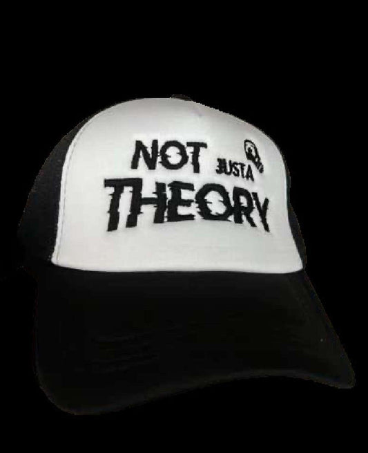 Conspiracy 'Not Just a theory' Thinking cap