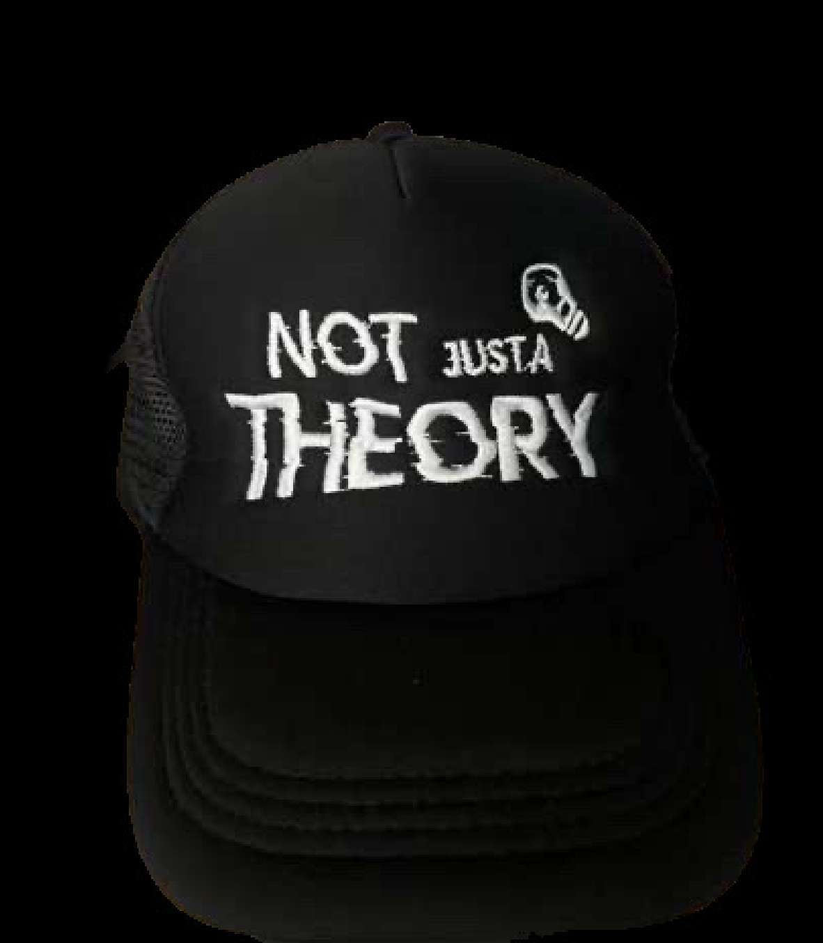 Conspiracy 'Not Just a theory' Thinking cap