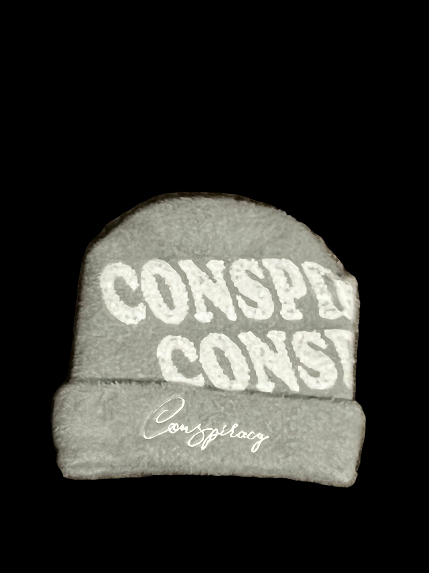 Ghost conspiracy beanie